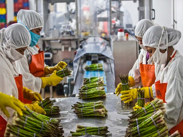 Bihar Government Offer 35% subsidy up to 10 lakh grant for food processing Business Subsidy Offer: इस दीवाली शुरू करें खुद का फूड प्रोसेसिंग बिजनेस, 10 लाख तक का अनुदान देगी सरकार