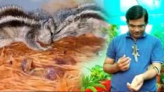 Mahabubnagar Teacher Squirrels : జీవకారుణ్యం చాటుకున్న మహబూబ్ నగర్ టీచర్