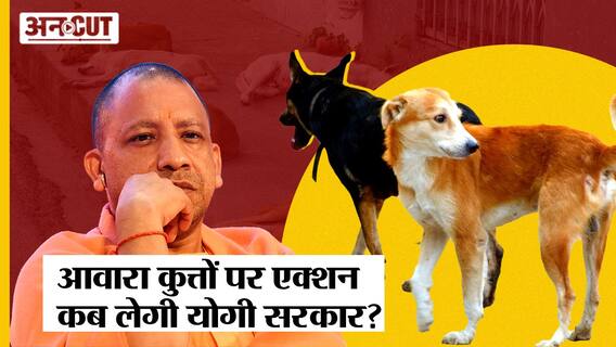 Noida Dog Video: Uttar Pradesh में घूम रहे हैं सबसे ज्यादा आवारा कुत्ते, CM Yogi कब लेंगे एक्शन?
