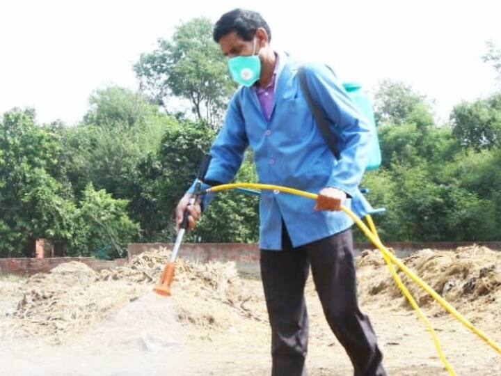Delhi Paddy straw government spray Pusa bio decomposer solution in agricultural fields Delhi News: पराली जलाने से रोकने के लिए दिल्ली सरकार की पहल, खेतों में बायो-डीकंपोजर का छिड़काव शुरू