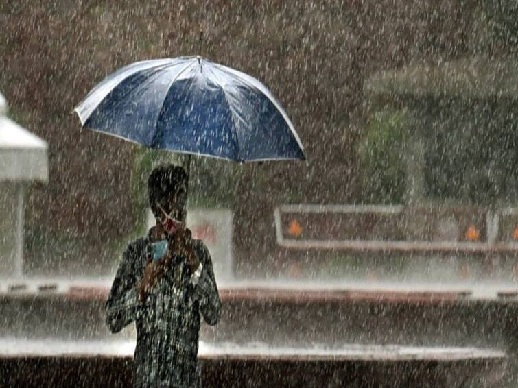 TN Rain Alert: tamilnadu weather updates heavy rain today 11 districts TN Rain Alert: இத்தனை மாவட்டங்களில் இன்றும், நாளையும் கனமழைக்கு வாய்ப்பு.. எச்சரிக்கும் வானிலை மையம்