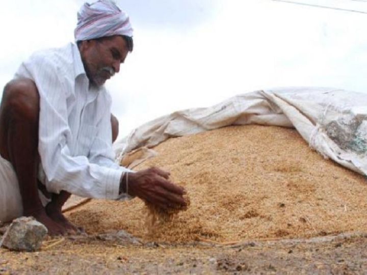 கும்பகோணம் விதை விற்பனை நிலையங்களில் அதிகாரிகள் திடீர் ஆய்வு