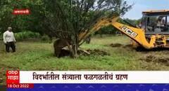 Vidarbha Orange Farm Producer Special Report : विदर्भात संत्रा उत्पादक अडचणीत ?