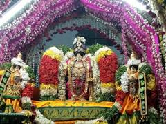 ஸ்ரீ கல்யாண வெங்கட்ரமண சுவாமி ஆளும் பல்லாக்கில் திருவீதி உலா - திரளான பக்தர்கள் பங்கேற்பு