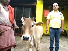 गौ प्रेमी ने अपने घर में ही बना दी गौशाला, रोटी रिक्शा बैंक मुहिम की मदद से 40 गायों की कर रहे सेवा 