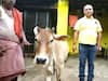 Koriya News: गौ प्रेमी ने अपने घर में ही बना दी गौशाला, रोटी रिक्शा बैंक मुहिम की मदद से 40 गायों की कर रहे सेवा 