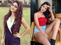 Shalin Bhanot से लेकर Tina Dutta तक, बिग बॉस 16 में शामिल हुए ये एक्टर्स कर चुके हैं फिल्मों में काम