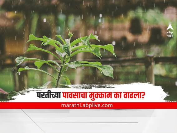Maharashtra Rain : परतीच्या पावसाचा इतका धुमाकूळ कसा? यामागचं कारण काय? हवामान तज्ञ काय सांगतात?