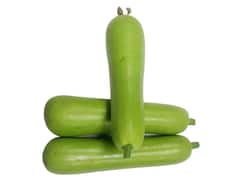 Weight Loss: वेट लॉस वो भी सिर्फ सब्जियों से, ये सच है बस इन 5 सब्जियों को खाने में शामिल कर लीजिए