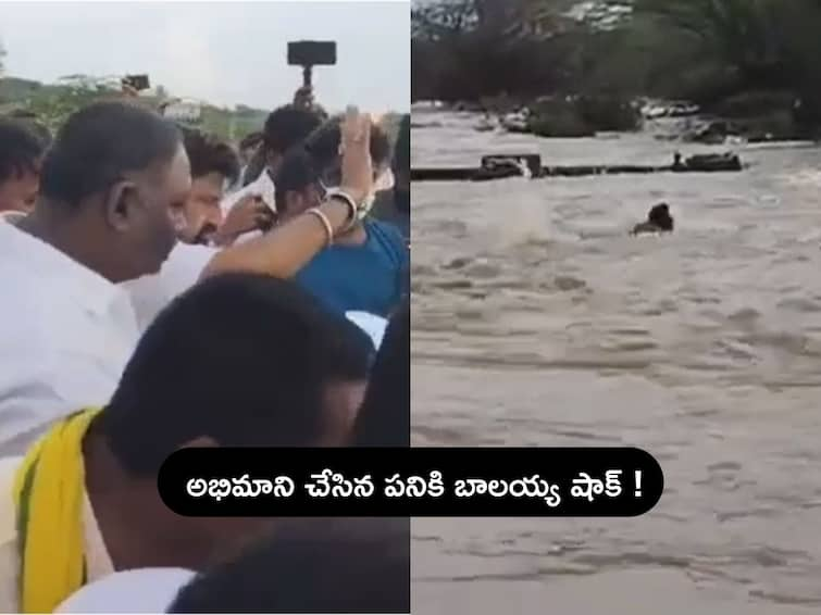 Hindupur Fan Jumps into Penna River to Meet his favourite Actor Balakrishna video went viral Viral Video: హీరో బాలకృష్ణని కలిసేందుకు నదిలో దూకిన వీరాభిమాని, తరువాత ఏం జరిగిందంటే