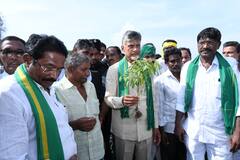 పల్నాడు జిల్లాలో టీడీపీ అధినేత చంద్రబాబు పర్యటన