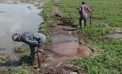 Photo : बारामती तालुक्यातील कऱ्हा नदीला पूर, शेतीचं नुकसान