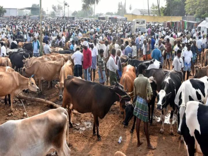 திருச்சி: மணப்பாறை மாட்டு சந்தையில் தீபாவளியொட்டி  ரூ. 2 கோடிக்கு விற்பனையான ஆடு, மாடுகள்