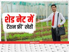 सर्दियों में लगायें शेडनेट और करें 'टेंशन फ्री' खेती, यहां किसानों को मिलेगी 75% तक सब्सिडी