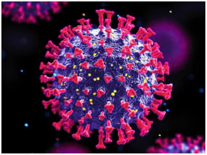 American Scientist Made Hybrid corona virus which is 5 times more hazardous then omicron New Research: अमेरिका के वैज्ञानिकों ने बनाया हाईब्रिड कोरोना वायरस, ओमिक्रॉन की तुलना में पांच गुना ज्यादा खतरनाक