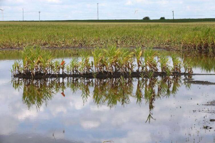 Trichy: Cauvery floods in Kollith, floods enter houses - 100 acres of crops submerged. திருச்சி: காவிரி, கொள்ளிடத்தில் வீடுகளுக்குள் வெள்ள நீர் புகுந்தது - மக்கள் அவதி