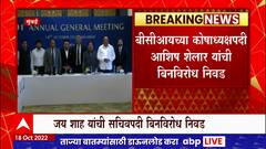 BCCI : बीसीसीआयच्या कोषाध्यक्षपदी आशिष शेलारांची बिनविरोध निवड ABP Majha