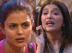 Bigg Boss 16: बर्तन धोने पर हुआ बवाल, प्रियंका चाहर चौधरी और निमृत कौर अहलूवालिया में जमकर हुई तू-तू, मैं-मैं
