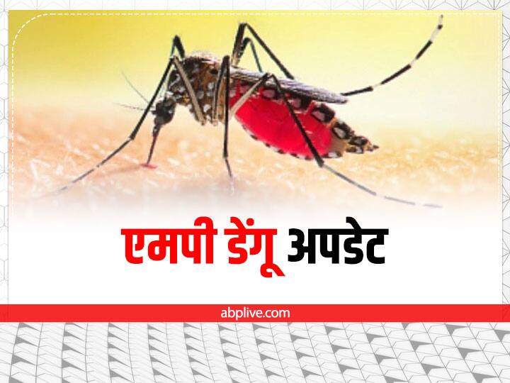 Madhya Pradesh Dengue 1200 patients cases increasing continuously Know Symptoms ANN MP Dengue News: कोरोना से निपटे तो अब डेंगू का डर, एमपी में अब तक डेंगू के 1200 मरीज