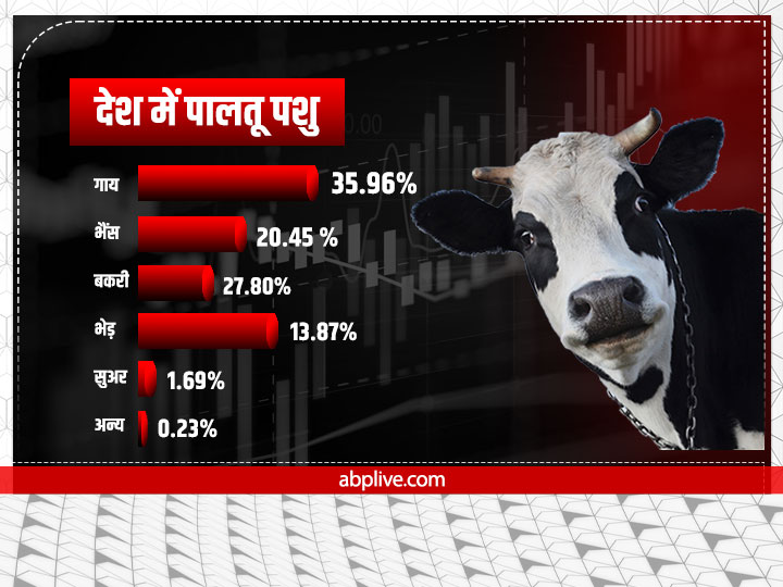 जानिए किस राज्य में हैं सबसे ज्यादा आवारा कुत्ते, इनके काटने से देश में होती है हर साल हजारों की मौत