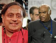 Congress President: કોના શિરે સજશે અધ્યક્ષના તાજ, જાણો કોન સંભાળવશે પાર્ટીની કમાન