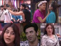 अर्चना-गोरी से शहनाज-माहिरा तक, Bigg Boss के ये कंटेस्टेंट लड़ाई में भूल गए सारी हदें