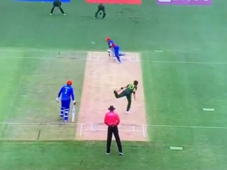 T20 World Cup: Shaheen Afridi's Yorker Sends Afghan Batter To Hospital - Watch Video T20 World Cup: Shaheen Afridi's Yorker Sends Afghan Batter To Hospital - Watch Video