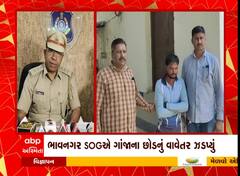 ભાવનગર: SOG પોલીસે ખડસલીયા ગામે લીલા ગાંજાનાં છોડનું વાવેતર ઝડપ્યું