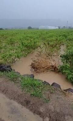 Photo : परतीच्या पावसानं राज्यातील शेतकरी संकटात
