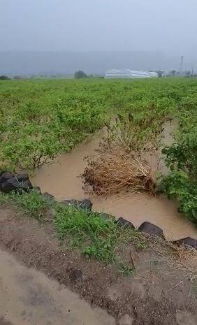 परतीच्या पावसानं राज्यातील शेतकरी संकटात