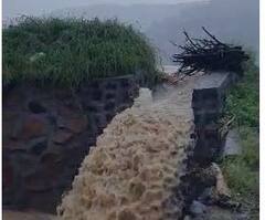 Photo : परतीच्या पावसानं राज्यातील शेतकरी संकटात