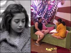 बिग बॉस 16 में टीना को पसंद करने लगे थे शालीन, असलीयत आने पर सुंबुल से शेयर की फीलिंग्स