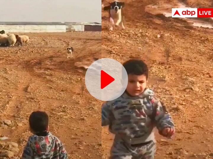 Baby Boy swag fails before the dog when it barks funny viral video डॉग के आगे फेल हुआ बच्चे का स्वैग, Video देखकर हंसी नहीं रुकेगी