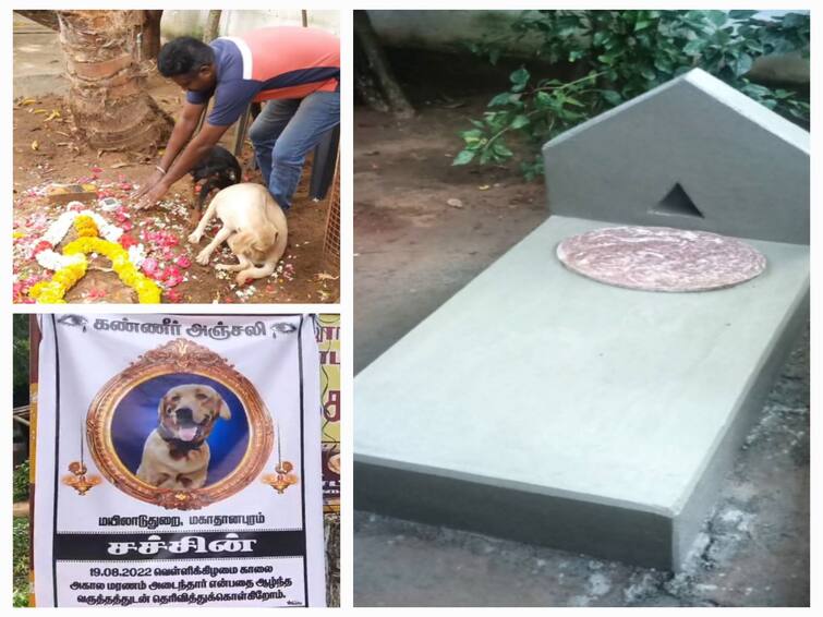 Mayiladuthurai: Graveyard for a home-grown pet  moving incident in Mayiladuthurai! குடும்ப உறுப்பினராக வலம்வந்த சச்சினுக்கு கல்லறை - மயிலாடுதுறையில் நெகிழ்ச்சி சம்பவம்!