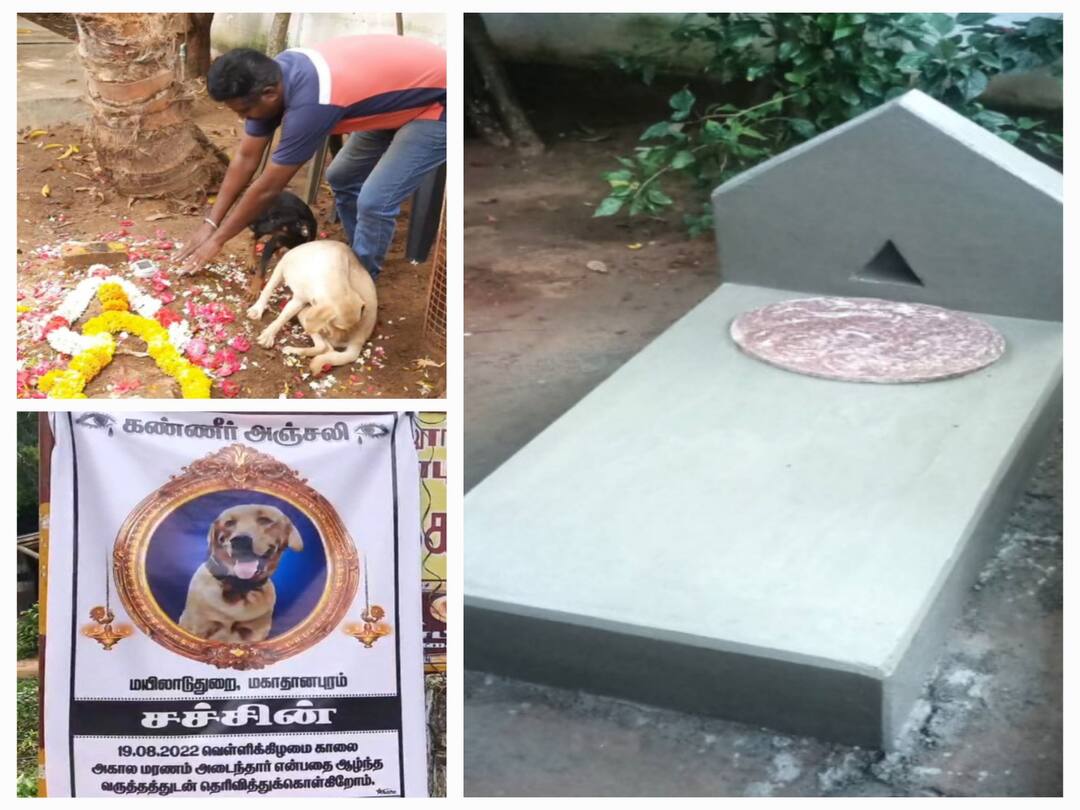 குடும்ப உறுப்பினராக வலம்வந்த சச்சினுக்கு கல்லறை - மயிலாடுதுறையில் நெகிழ்ச்சி சம்பவம்!