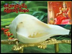 దీపావళి రోజు దక్షిణావర్తి శంఖాన్ని ఎలా పూజించాలి, ఆ తర్వాత దానిని ఏం చేయాలంటే!