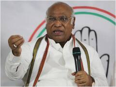 केंद्र पर निशाना और गांधी परिवार की तारीफ...कांग्रेस अध्यक्ष चुने जाने के बाद खड़गे बोले, 'सड़क से संसद तक लड़ना होगा'