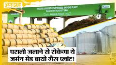 Punjab में लगा Parali से चलने वाला Bio Gas Plant, Delhi-NCR में कम होगा Pollution, घटेगा PM 2.5