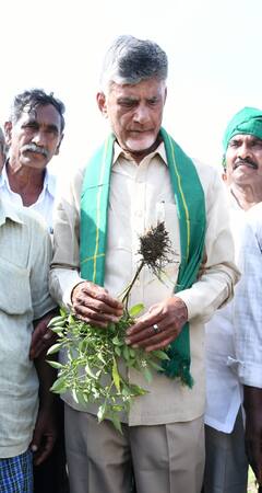 పల్నాడు జిల్లాలో టీడీపీ అధినేత చంద్రబాబు పర్యటన