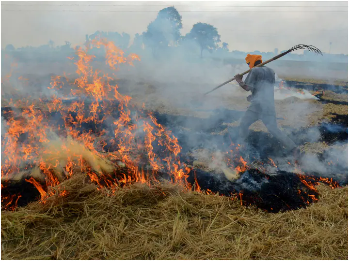 Sangrur: पंजाब के संगरूर में जर्मन कंपनी ने शुरू किया बायोगैस प्लांट, किसानों को मिलेगा पराली जलाने से छुटकारा