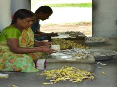 தீபாவளி தல தீபாவளி..சிவகாசியில் ரெடியாகும் சரவெடி பட்டாசுகள்!