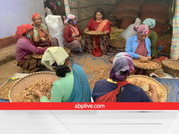 Success Story of Sharmila Oswal make Millet Food Products with the help to 7000 farmers Success  Story: मोटे अनाजों से बना दिये कमाल के फूड़ प्रॉडक्ट्स, 7,000 किसानों के दम पर चलता है शर्मिला का प्रोसेसिंग बिजनेस