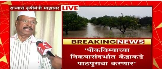 Agriculture Minister Abdul Sattarएबीपी माझावर,राज्यात सरसकट ओला दुष्काळ जाहीर करता येणार नाही:सत्तार