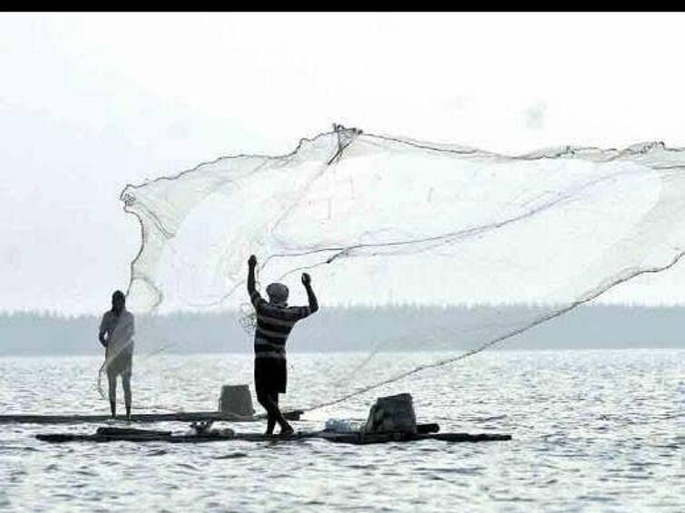 Kaniyakumari fishermen are going for fishing regardless of heavy rain in their region TNN கொட்டும் மழையில் கடலுக்கு மீன் பிடிக்க சென்ற குமரி மீனவர்கள்!