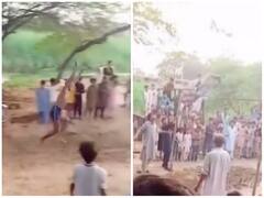 बुजुर्ग शख्स ने लगाई हैरतअंगेज हाई जंप, युवाओं के उड़ गए तोते