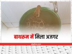 कोटा में जंगल से भटकता हुआ बाथरूम तक पहुंचा अजगर, घरवालों के उड़े होश