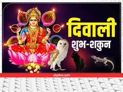धनतेरस या दीवाली पर इन चीजों का दिखाई देना माना जाता है, शुभ संकेत, पूरे साल बरसती है लक्ष्मी जी की कृपा