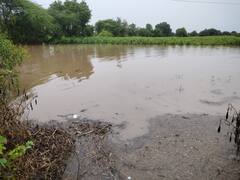 PHOTO: शेताचं झालं तळं, डोळ्यात अश्रू; औरंगाबादच्या वजनापूरात ढगफुटीसदृश पाऊस