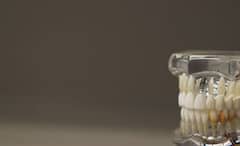 Dental Care after 30: বয়স থাকতেই দাঁতের মর্ম বুঝুন, ৩০-এর পর আরও যত্নশীল হোন আরও