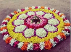 Flower Rangoli: फुलांच्या पाकळ्यांचा वापर करुन झटपट काढा रांगोळी; पाहा आकर्षक डिझाइन्स